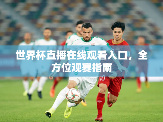 世界杯直播在线观看入口，全方位观赛指南