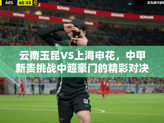 云南玉昆VS上海申花，中甲新贵挑战中超豪门的精彩对决