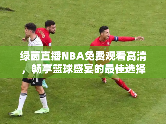 绿茵直播NBA免费观看高清，畅享篮球盛宴的最佳选择