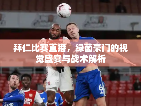 拜仁比赛直播，绿茵豪门的视觉盛宴与战术解析