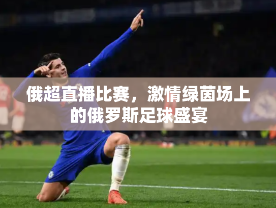 俄超直播比赛，激情绿茵场上的俄罗斯足球盛宴