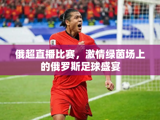 俄超直播比赛，激情绿茵场上的俄罗斯足球盛宴