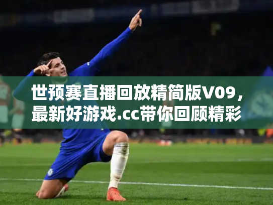 世预赛直播回放精简版V09，最新好游戏.cc带你回顾精彩瞬间