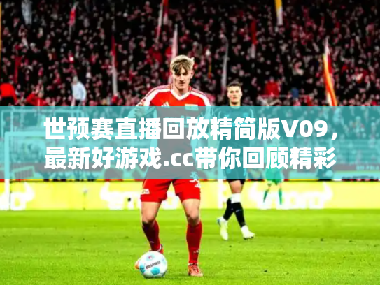 世预赛直播回放精简版V09，最新好游戏.cc带你回顾精彩瞬间