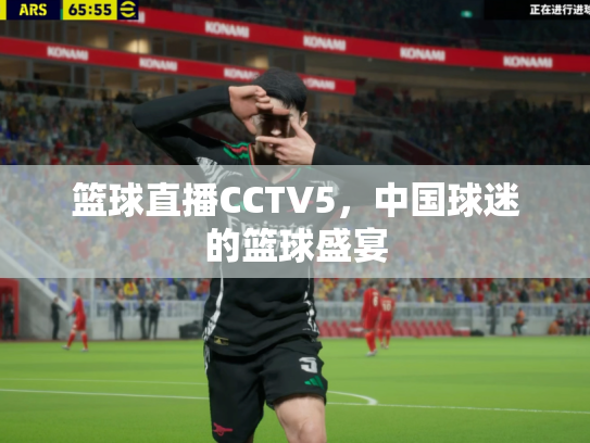 篮球直播CCTV5，中国球迷的篮球盛宴