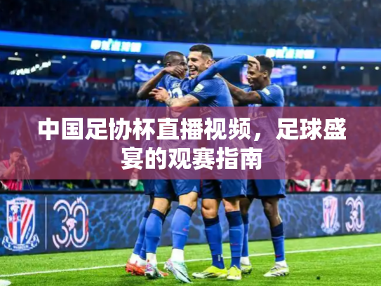 中国足协杯直播视频，足球盛宴的观赛指南