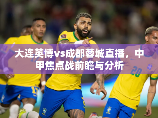 大连英博vs成都蓉城直播，中甲焦点战前瞻与分析