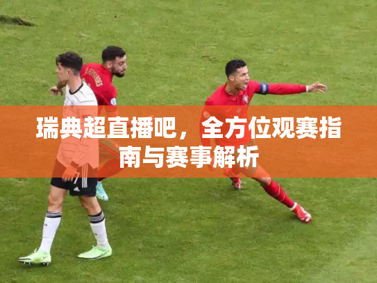 瑞典超直播吧，全方位观赛指南与赛事解析