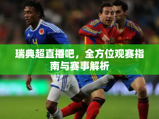 瑞典超直播吧，全方位观赛指南与赛事解析