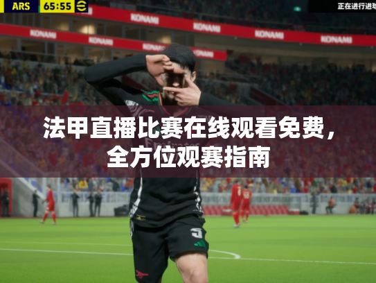 法甲直播比赛在线观看免费，全方位观赛指南