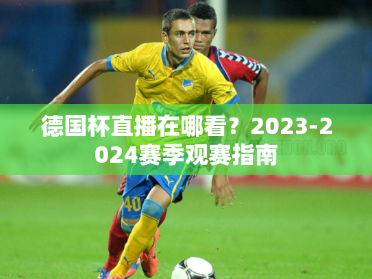 德国杯直播在哪看？2023-2024赛季观赛指南