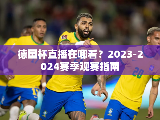 德国杯直播在哪看？2023-2024赛季观赛指南