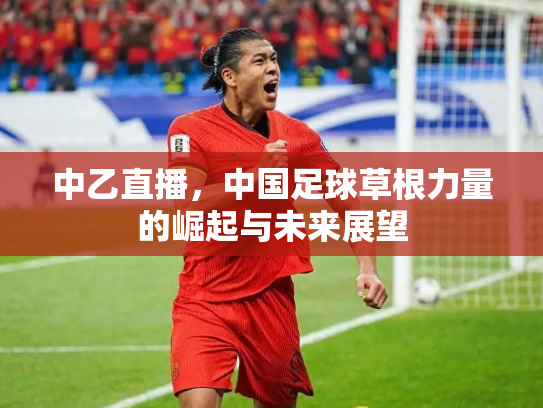 中乙直播，中国足球草根力量的崛起与未来展望