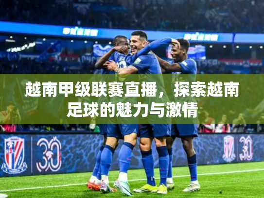 越南甲级联赛直播，探索越南足球的魅力与激情