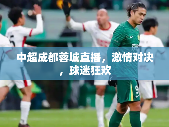 中超成都蓉城直播，激情对决，球迷狂欢