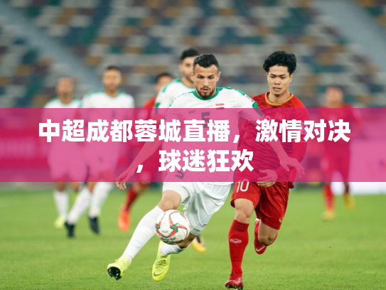 中超成都蓉城直播，激情对决，球迷狂欢