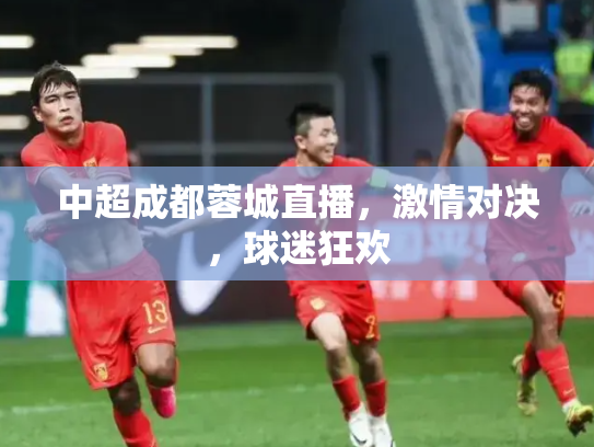中超成都蓉城直播，激情对决，球迷狂欢