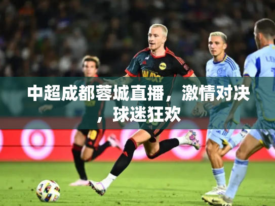 中超成都蓉城直播，激情对决，球迷狂欢