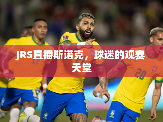 JRS直播斯诺克，球迷的观赛天堂