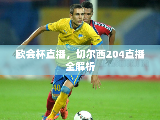 欧会杯直播，切尔西204直播全解析