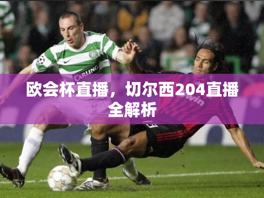 欧会杯直播，切尔西204直播全解析