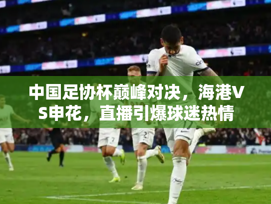 中国足协杯巅峰对决，海港VS申花，直播引爆球迷热情