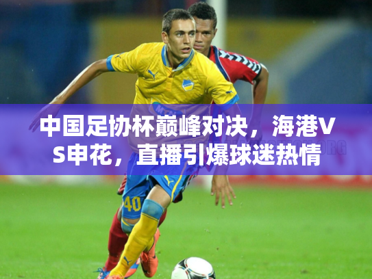 中国足协杯巅峰对决，海港VS申花，直播引爆球迷热情