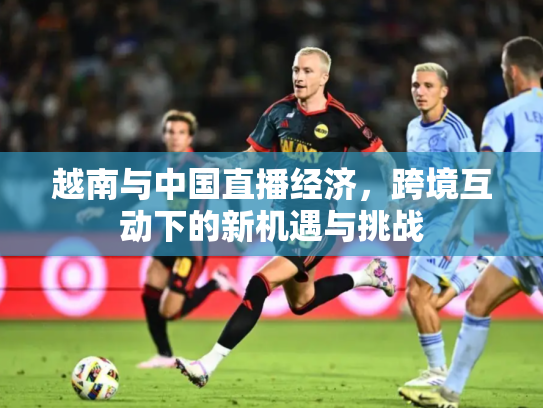 越南与中国直播经济，跨境互动下的新机遇与挑战