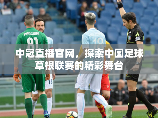 中冠直播官网，探索中国足球草根联赛的精彩舞台