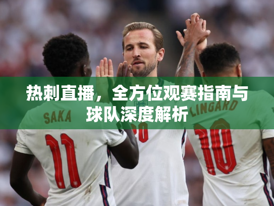 热刺直播，全方位观赛指南与球队深度解析