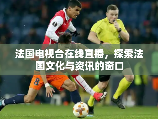 法国电视台在线直播，探索法国文化与资讯的窗口