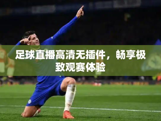 足球直播高清无插件，畅享极致观赛体验