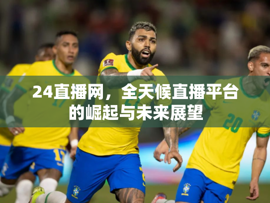 24直播网，全天候直播平台的崛起与未来展望