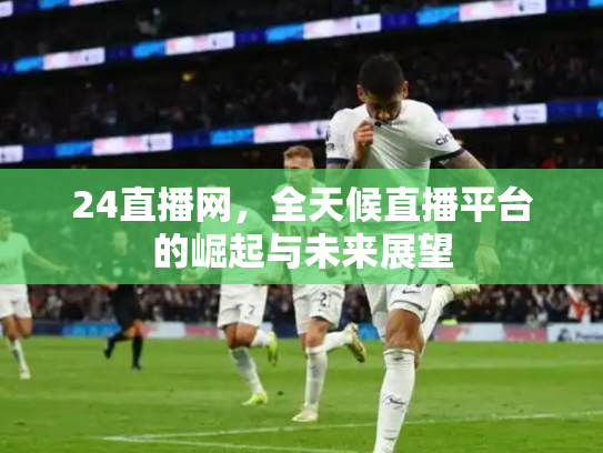 24直播网，全天候直播平台的崛起与未来展望