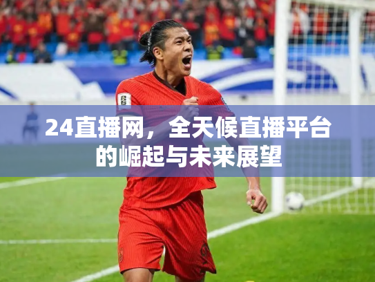 24直播网，全天候直播平台的崛起与未来展望
