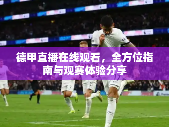 德甲直播在线观看，全方位指南与观赛体验分享
