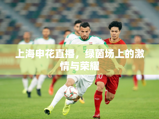 上海申花直播，绿茵场上的激情与荣耀