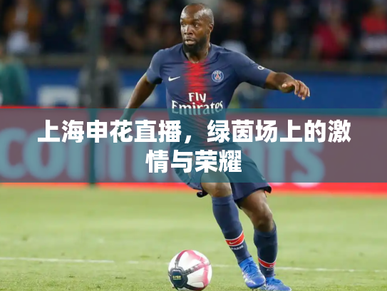上海申花直播，绿茵场上的激情与荣耀