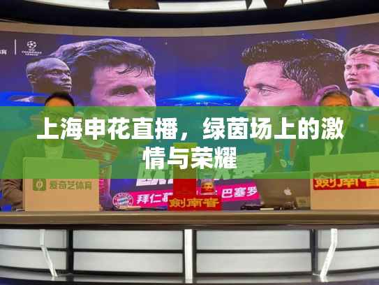 上海申花直播，绿茵场上的激情与荣耀