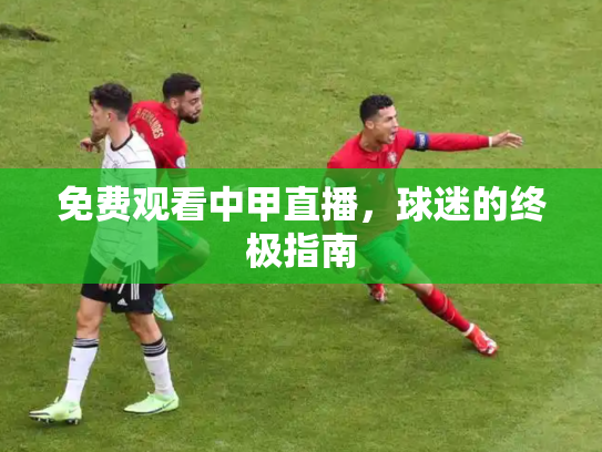 免费观看中甲直播，球迷的终极指南