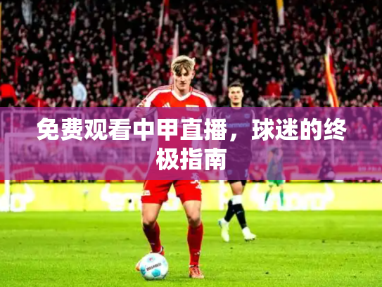 免费观看中甲直播，球迷的终极指南