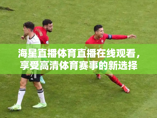海星直播体育直播在线观看，享受高清体育赛事的新选择