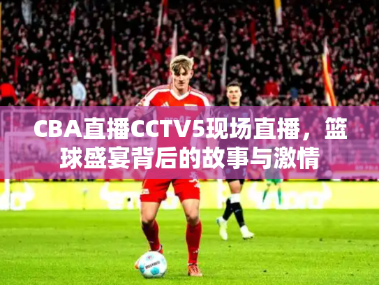 CBA直播CCTV5现场直播，篮球盛宴背后的故事与激情
