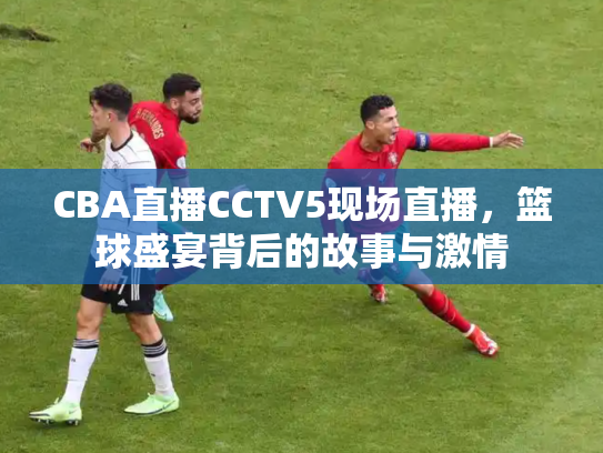 CBA直播CCTV5现场直播，篮球盛宴背后的故事与激情