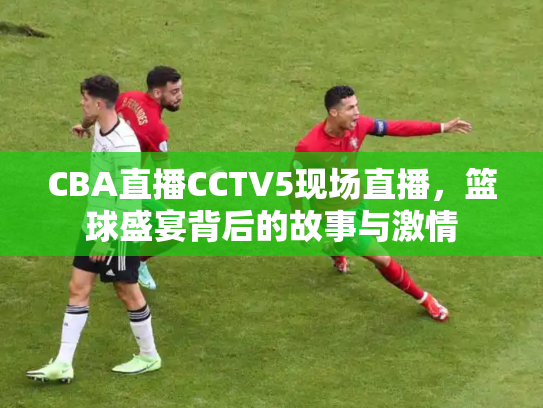 CBA直播CCTV5现场直播，篮球盛宴背后的故事与激情