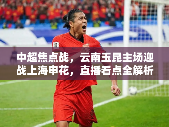 中超焦点战，云南玉昆主场迎战上海申花，直播看点全解析