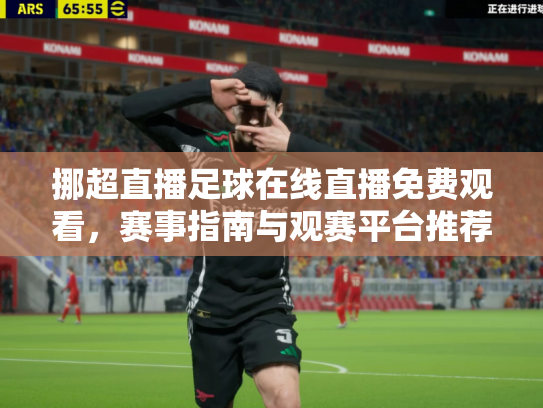 挪超直播足球在线直播免费观看，赛事指南与观赛平台推荐