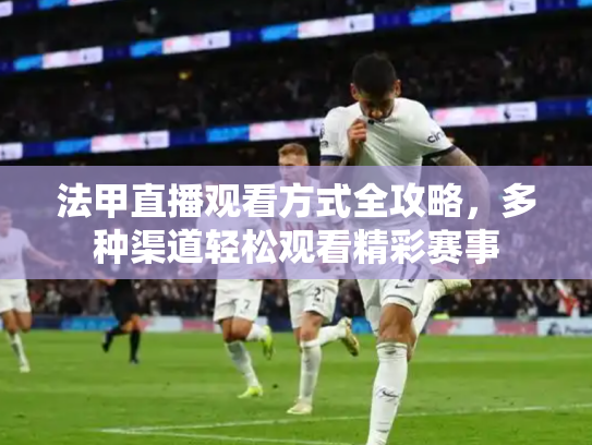法甲直播观看方式全攻略，多种渠道轻松观看精彩赛事