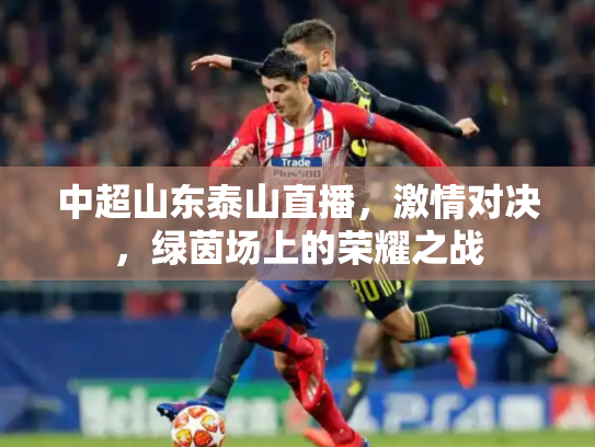 中超山东泰山直播，激情对决，绿茵场上的荣耀之战