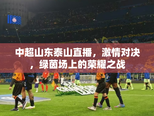 中超山东泰山直播，激情对决，绿茵场上的荣耀之战